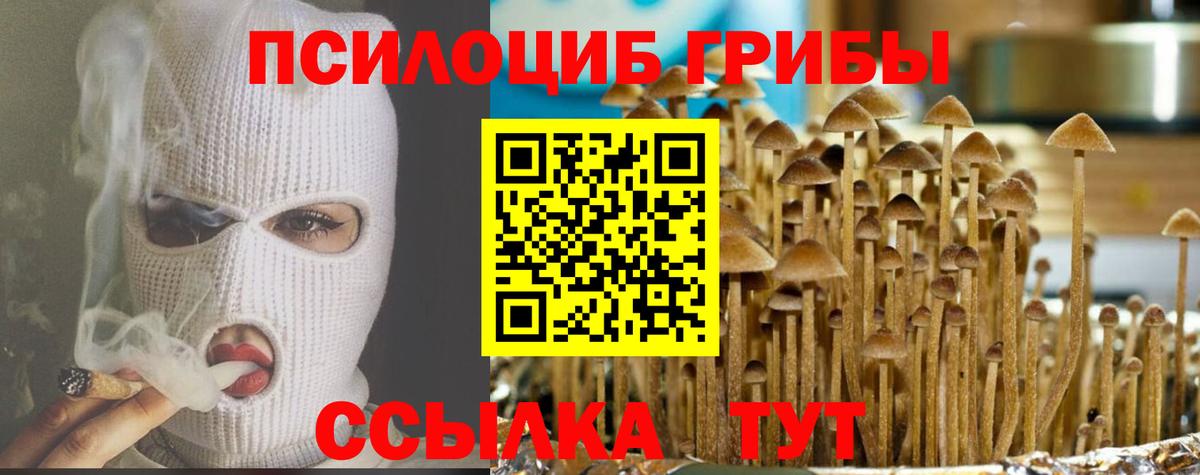 Подольск  Псилоцибиновые грибы Psilocybine cubensis  Вход с VPN  Псилоцибиновые грибы MAGIC MUSHROOMS 